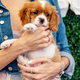 Emerald Cut Diamond Eternity Band